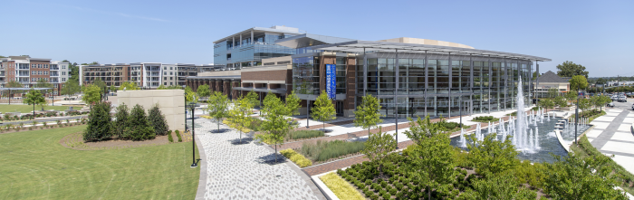 Senior Traffic Engineer